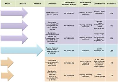 Breast Cancer Vaccines: New Insights